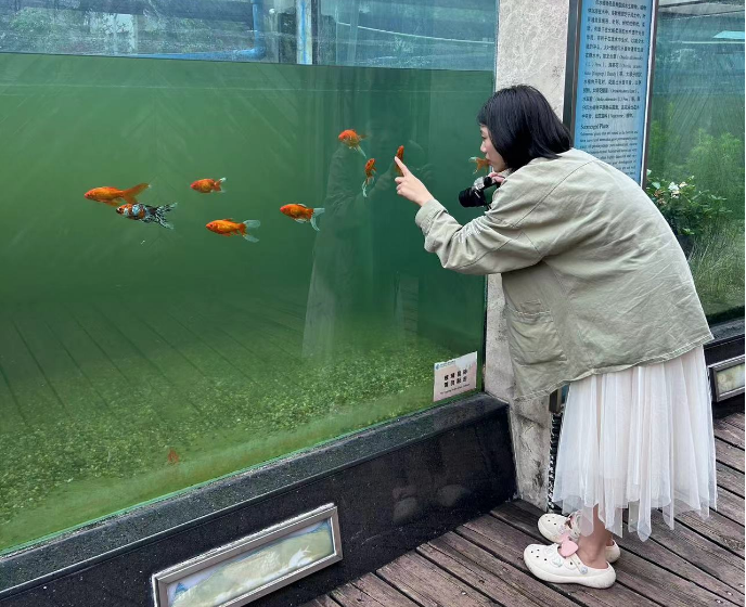 正在拍鱼的路人小姐姐